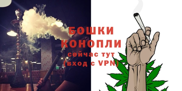 гидра Надым