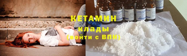 гидра Надым