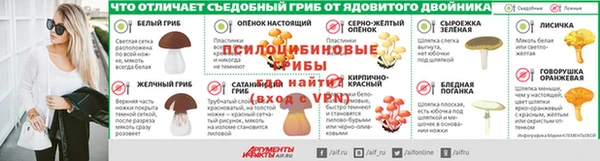 гидра Надым