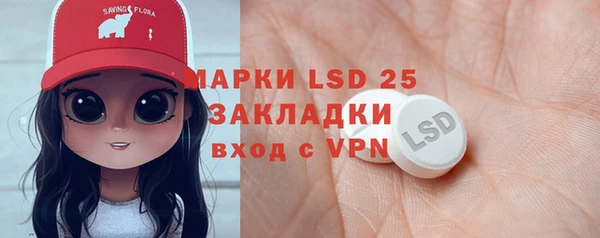 гидра Надым
