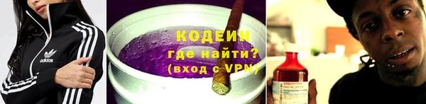 гидра Надым