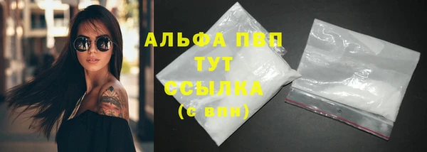 гидра Надым