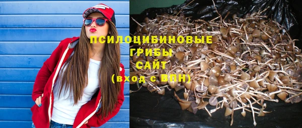 гидра Надым