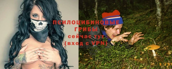 гидра Надым