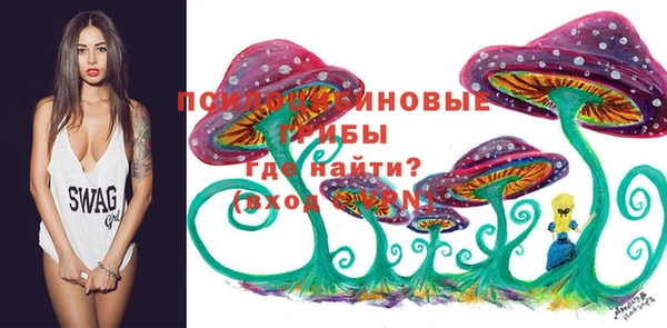 гидра Надым