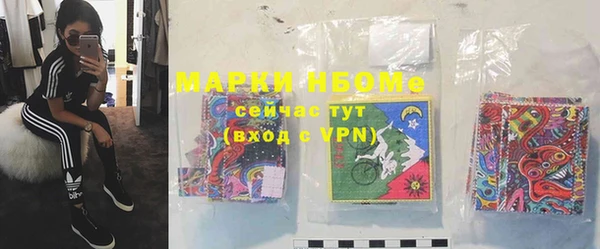 гидра Надым