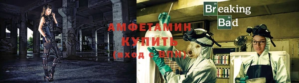 гидра Надым